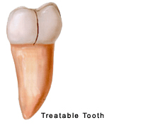 Nanuet Endodontic Office